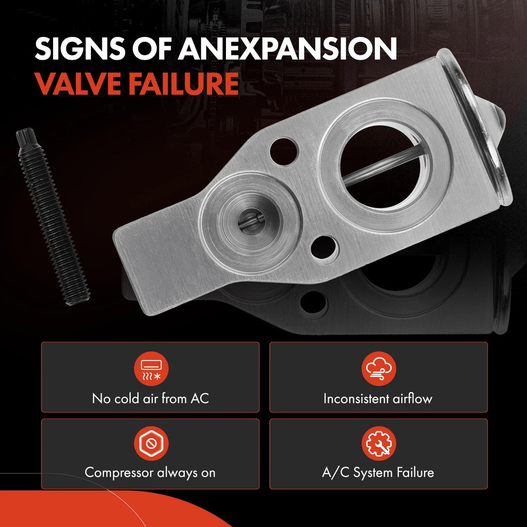 A/C Expansion Valve for Buick Terraza, Chevrolet, Pontiac (2005–2007)