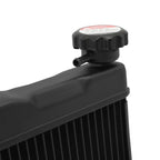 Radiator Cooler for YAMAHA YZF R7 (2022-2025)