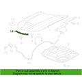Front Hood Seal for Chrysler 300, Dodge Challenger, Charger (OEM)