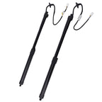 2X Rear Tailgate Gas Struts for Lexus NX300 NX300h (2015–2021)