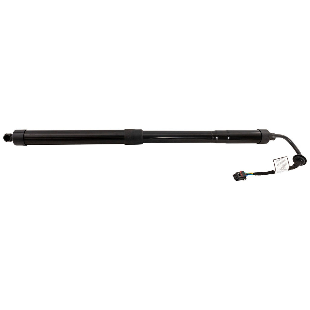 Hatch Lift Supports for Ford C-Max (2013–2018)