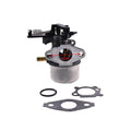 Carburetor for Briggs and Stratton 796608 (Fits )