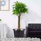 Set of 10 Gallon Nursery Pots for Garden Planting (Plastic)