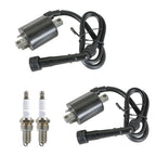 2X Ignition Coil & Spark Plug for Yamaha Virago 535 (1987–2000)