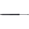 Liftgate Lift Supports for Toyota RAV4 (2013–2018)
