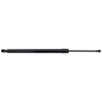 Liftgate Lift Supports for Toyota RAV4 (2013–2018)