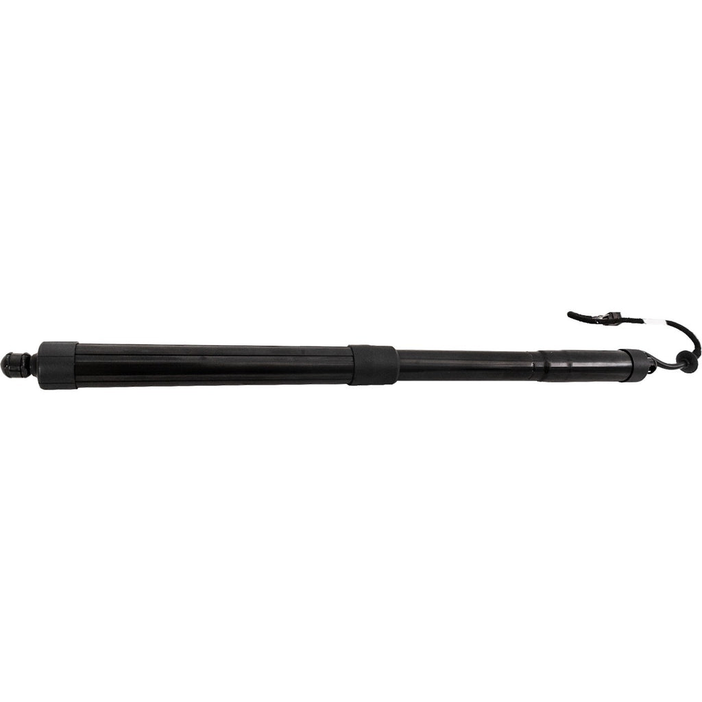 Liftgate Lift Supports for Hyundai Santa Fe Sport