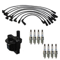Denso Ignition Coil Wires & NGK Platinum Spark Plugs Kit for P30 P3000 (1995–2000)
