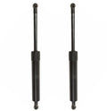 Trunk Lid Lift Support for - Rear Driver & Passenger Side