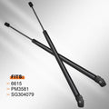 2X Rear Glass Window Lift Supports Struts for Ford Explorer (2006–2010)