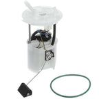 Delphi FG1752 Fuel Pump Module Assembly for Ford Taurus/Mercury Sable (2008–2009)
