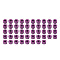 48X Purple Engine Bolt Topper Caps for Harley Twin Cam Softail Dyna