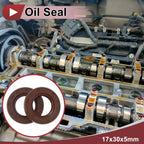 2X Oil Seal Rotary Shaft Seal FKM Rubber 17x30x5mm for Various Models
