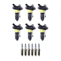 Set of 6 Ignition Coils & Spark Plugs for GMC Envoy Rainier (2002–2009)