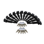 Set of 12 Ignition Coils & Spark Plugs for BMW 760Li (F02, 2004–2015)