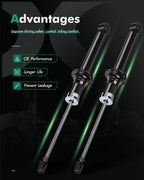 Rear Pair Shocks Struts for Lexus LS430 (2001–2006)