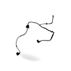 Carbon Canister Solenoid Valve for Ford Focus (2019)