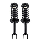 Rear Struts Coil Spring Assembly for Honda Accord (2013–2017) 172984