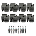 Set of 8 Ignition Coils & Iridium TT Spark Plugs for XF C215 W210 W220 V8