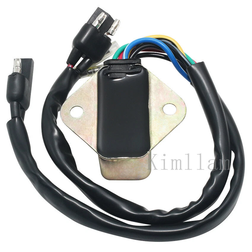 CDI Igniter for Suzuki TS125ER GP100 GP125 TR100 FR80 TL125 (1979–1985)