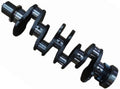 Crankshaft Assembly with Bearing Set 3968176 5370755 for Cummins QSB4.5 (2008–2021)