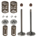 Intake Exhaust Valve Spring Kit for Honda FourTrax 300 TRX300 (1988–2000)