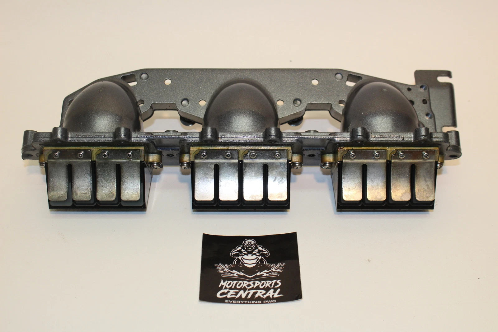 Reed Valve Cage Set for Yamaha WaveVenture 1100 (1996–1999)