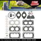 Carburetor Overhaul Kit for Briggs & Stratton (Various Models)
