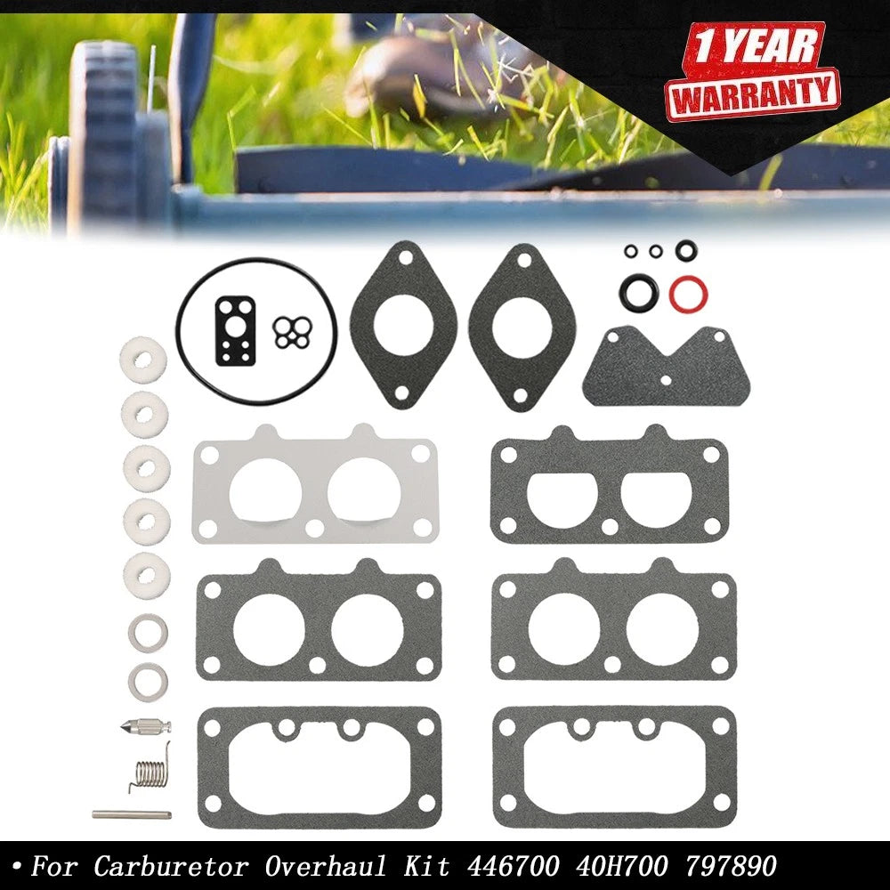 Carburetor Overhaul Kit for Briggs & Stratton (Various Models)
