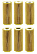 Set of 6 Engine Oil Filters for VW Touareg, Porsche Cayenne, Audi A4 (Mann HU7029z)