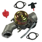 Carburetor Kit for Engine Efficiency Upgrade (491026)
