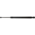 Lift Supports for Ford Edge (Driver & Passenger Side)