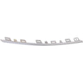 Bumper Trim for Honda Odyssey (2014-2016)