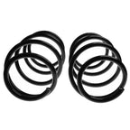 2 Front Suspension Coil Springs for BMW X3 (2004-2010)