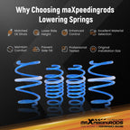 Lowering Springs for Scion TC (2011-2016)