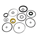 Steering Hydraulic Cylinder Seal Kit for Massey Ferguson 100 (830860M92)
