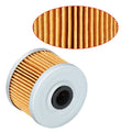 2 x Oil Filter & Spring for Honda Rancher 420 (2007–2024)