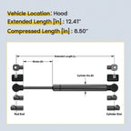 2 Front Hood Lift Supports for Chrysler 300, Dodge Challenger, Magnum