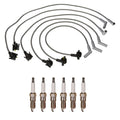 Denso Wire Set & 6 Double Platinum Spark Plugs for Ford 4.2L V6 (2000–2003)