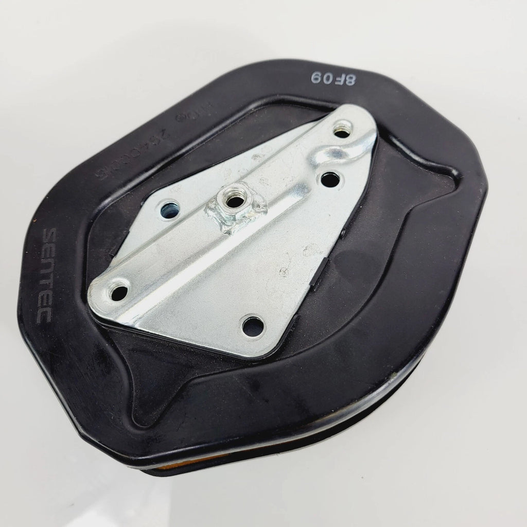 Air Filter Cleaner for Harley-Davidson XL883N Iron 883 XL1200 XL1200X (USED)