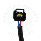 Window Regulator for Honda Passport Isuzu Rodeo (1998–2004)