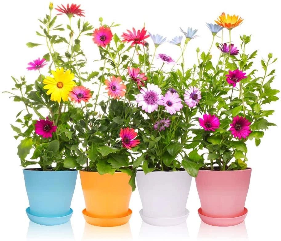 Set of 5 Colorful Plastic Flower Pots for Nursery Seedlings