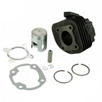 Cylinder Piston Kit for