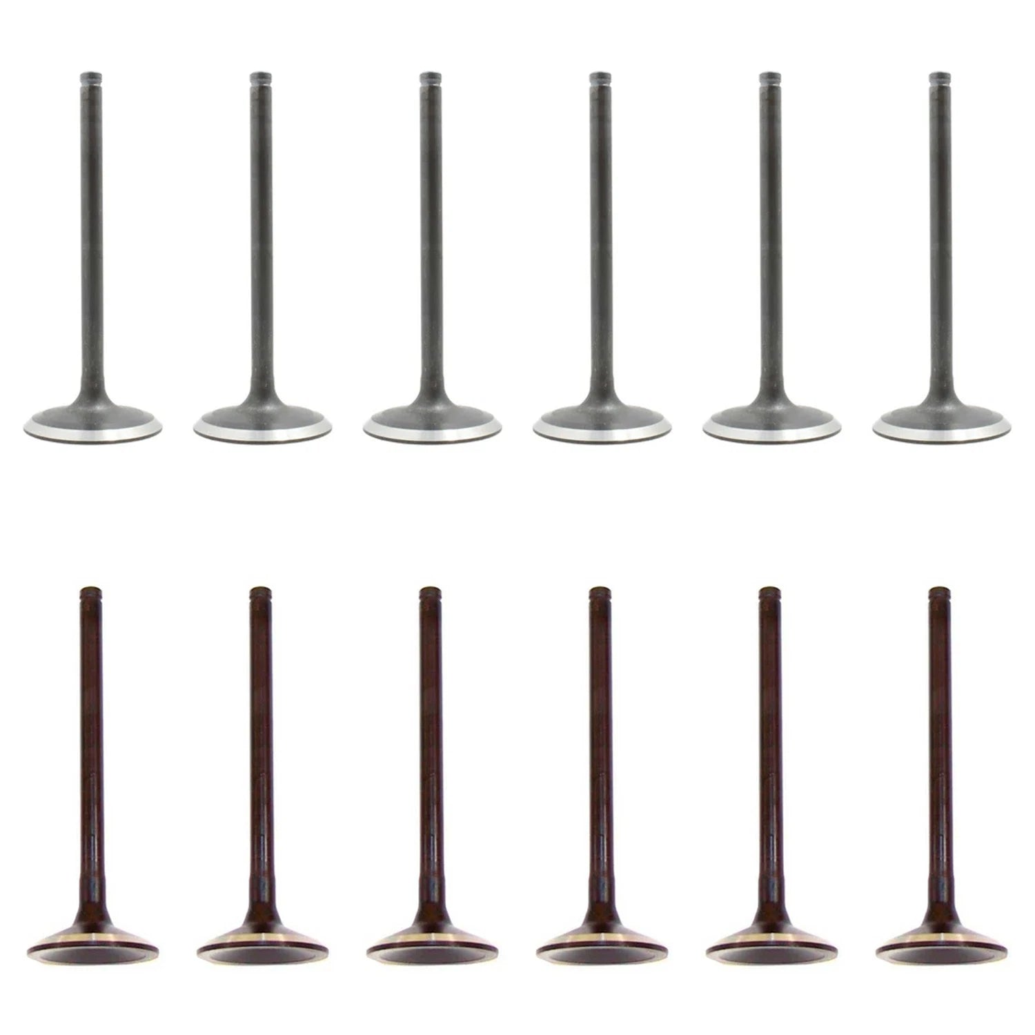 Set of 12 Intake & Exhaust Valves Kit for Dodge B150 B250 Dakota Ram 1500 3.9 12V