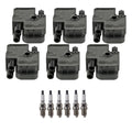 Set of 6 Ignition Coils & U-Groove Spark Plugs for RL TL Azera Sorento V6