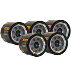 Set of 5 Engine Oil Filters for Ford Honda John Deere Mazda Suzuki