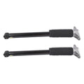 2X Rear Shock Absorbers Struts for Tesla Model 3 (2017–2021)
