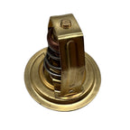 55℃ Thermostat for Volvo Penta BB115A BB115B BB115C BB140A BB165A (Models 875791)