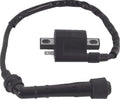 Ignition Coil for Yamaha YFM400 Big Bear (2000–2012)