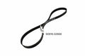 Genuine OEM Serpentine Belt for Toyota RAV4, Lexus RX350, NX350 (2013–2023) 9091602668